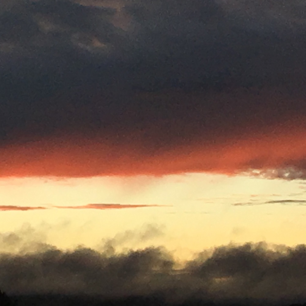 Meet your Posher, Leo